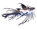 Magnacetus