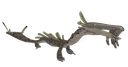 Murlk