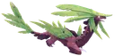 Nuciffracoccu