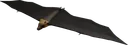 Bat Glider