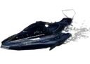 Black Comet