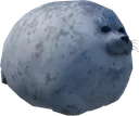 Rotund Seal