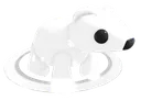 Chilly Cub