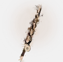 Skeletal Death