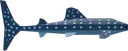 Whale Shark Boat