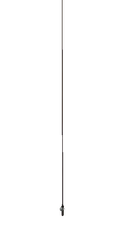 The Longest One