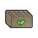100K Seeds Gift