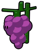 Grapes
