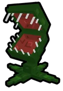 Venus Flytrap
