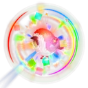 Rainbow Birb