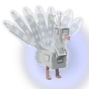 Albino Peacock