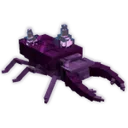 Amethyst Beetle