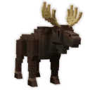 Moose