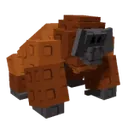 Orangutan