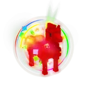 Rainbow Zebra