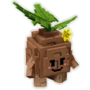 Seedling