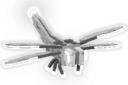 Silver Dragonfly