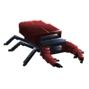 Stag Beetle