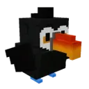 Toucan