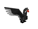 Black Swan