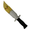 Chick