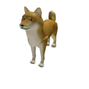 Dogey