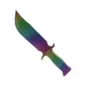 Shiny