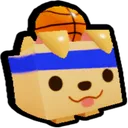 Basketball Retriever