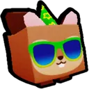 Party Squirrel