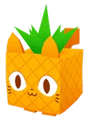 Pineapple Cat