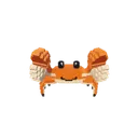 Crab