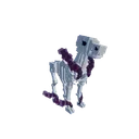 Skeleton Horse