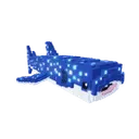 Whale Shark
