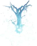 Fortune Frost Blossom
