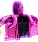 Octopus Crate
