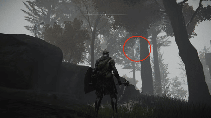 How To Seek Three Wise Beasts In Elden Ring?