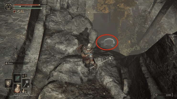 How To Seek Three Wise Beasts In Elden Ring?