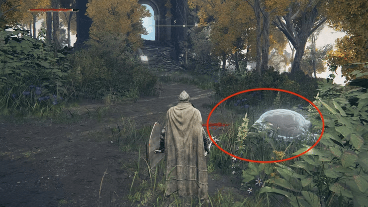 How To Seek Three Wise Beasts In Elden Ring?