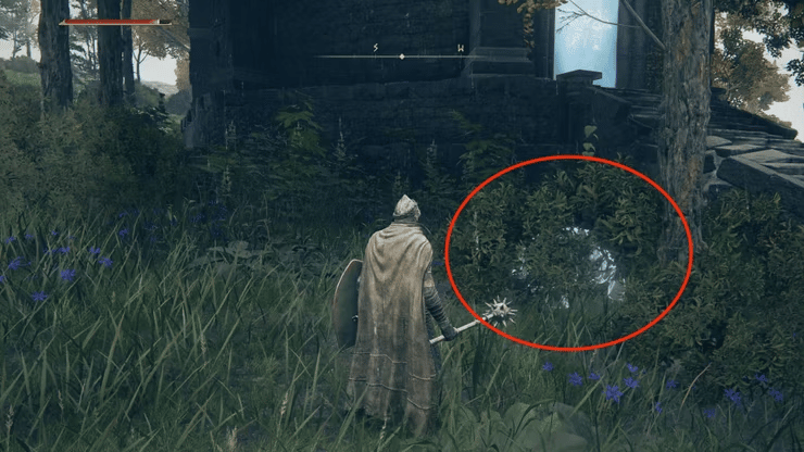 How To Seek Three Wise Beasts In Elden Ring?