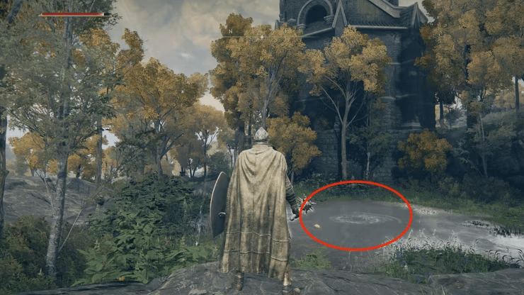 How To Seek Three Wise Beasts In Elden Ring?