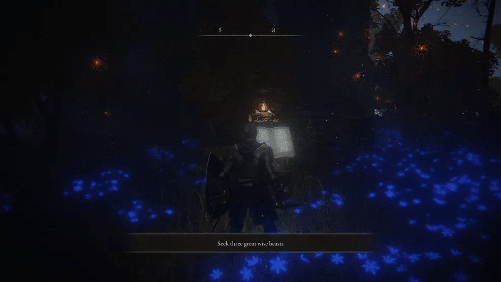 How To Seek Three Wise Beasts In Elden Ring?