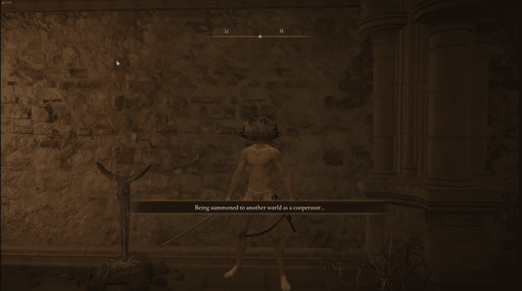 What Is “Let Me Solo Her” In The Elden Ring? (Meme)