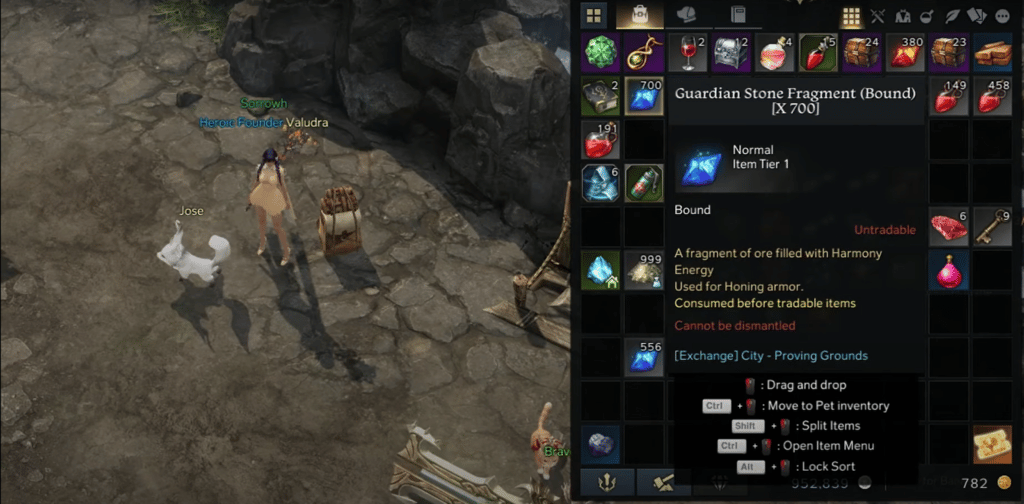 How to Farm & Get Guardian Stone Fragments in Lost Ark