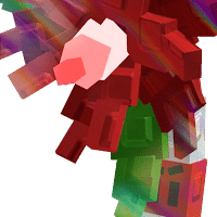 Candycane Bloom