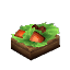 Mushroom Salad