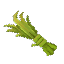 Plant Fiber