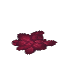 Dark Hide