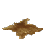 Heavy Hide