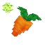 Ingredient Life Essence Carrot