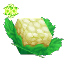 Ingredient Life Essence Cauliflower
